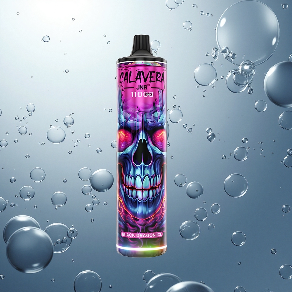 JNR Calavera 11000 Čierny Drak Ľadový Typ-C 850mAh 21ml