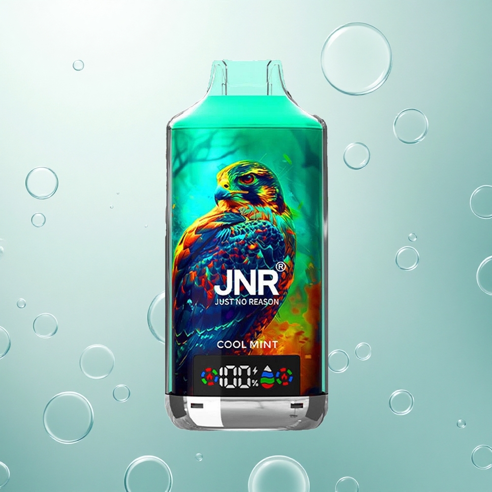 JNR Falcon X 18000 Chladivá Mätová 24ml Dual Mesh