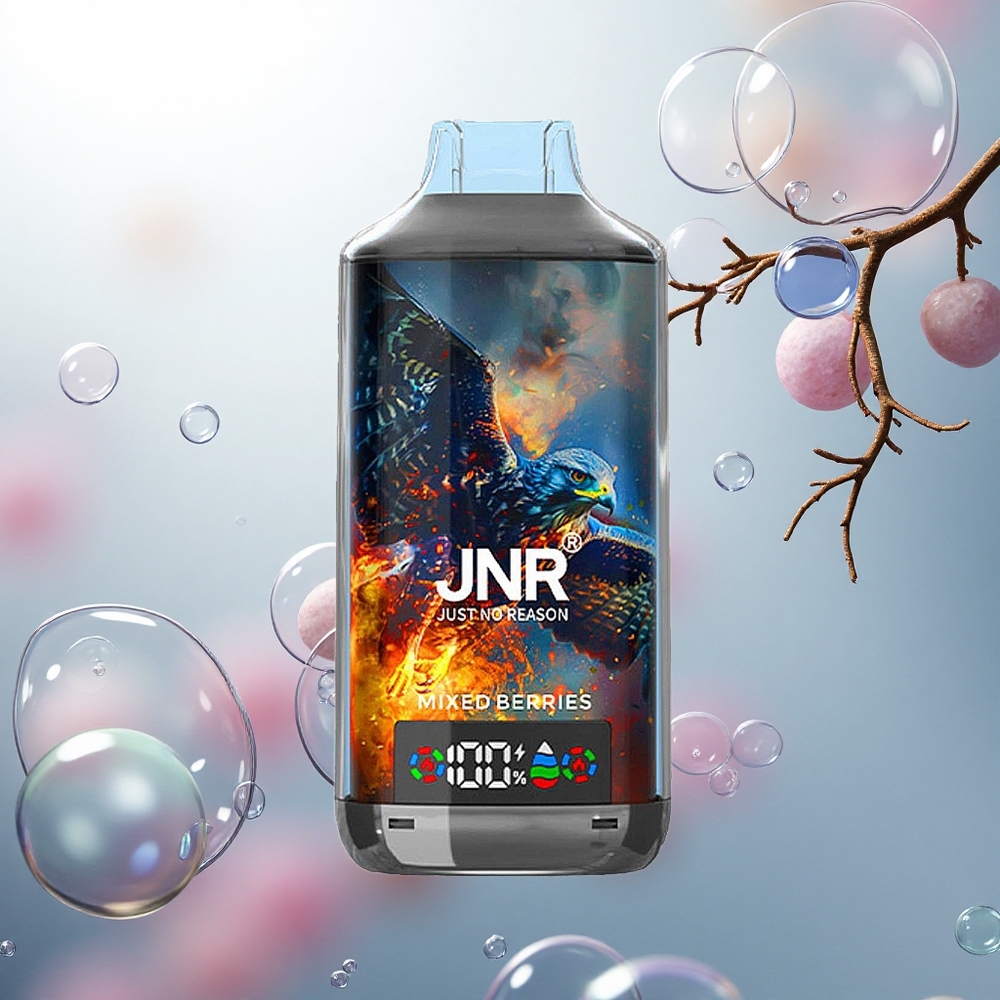 JNR Falcon X 18000 JNR Falcon X Mix Bobúľ 24ml Dual Mesh