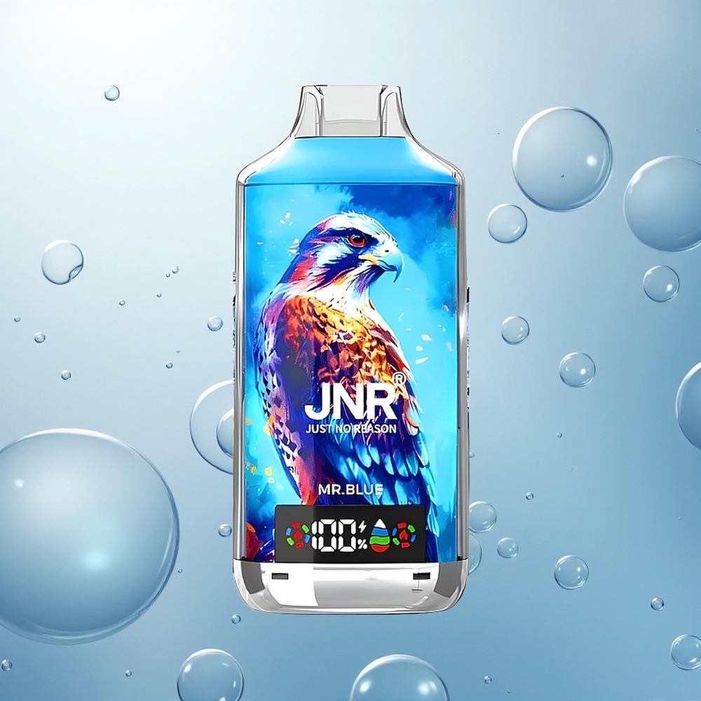 JNR Falcon X 18000 Pán Modrý Dual Mesh 24ml 750mAh