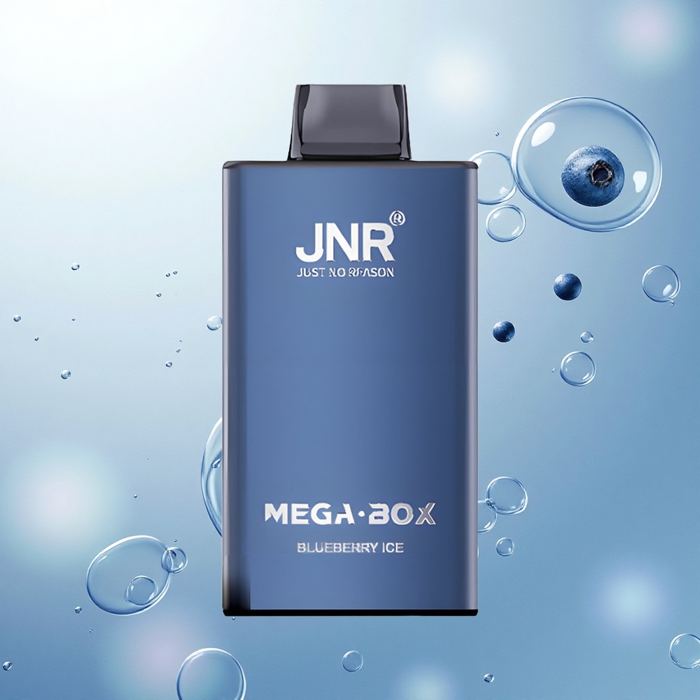 JNR Mega Box 25000 Borovicový ľad s 30ml a Dual Mesh