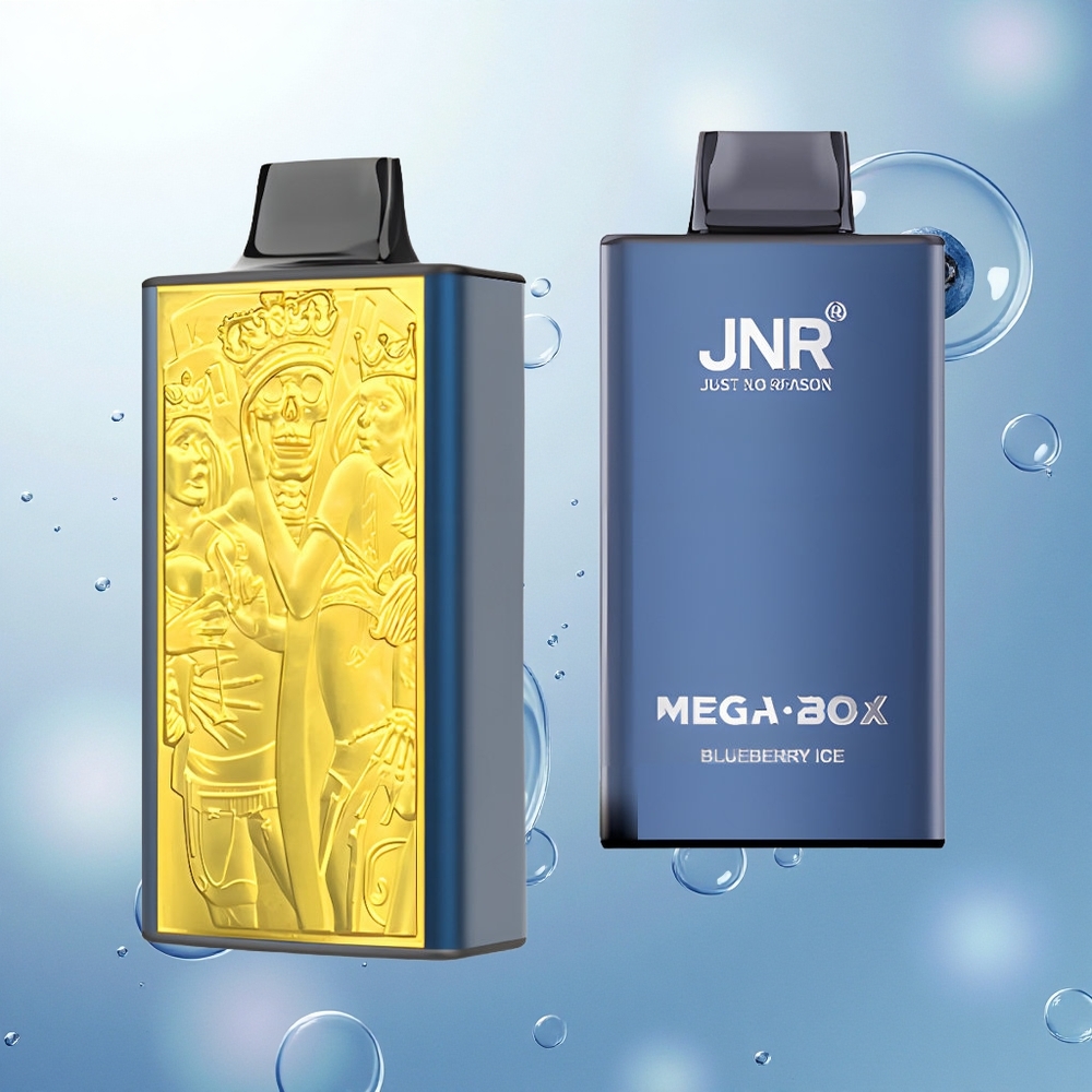 JNR Mega Box 25000 Borovicový ľad s 30ml a Dual Mesh