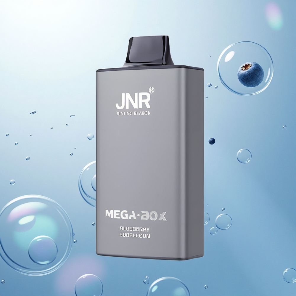 JNR Mega Box 25000 Čučoriedková Bublinková Žuvačka s 30ml Kapacitou a Rýchlym Nabíjaním Typ-C