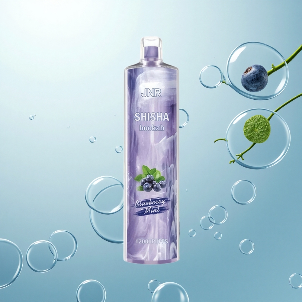 JNR Shisha Hookah 12000 Borovicová Mäta 24ml 750mAh Type-C