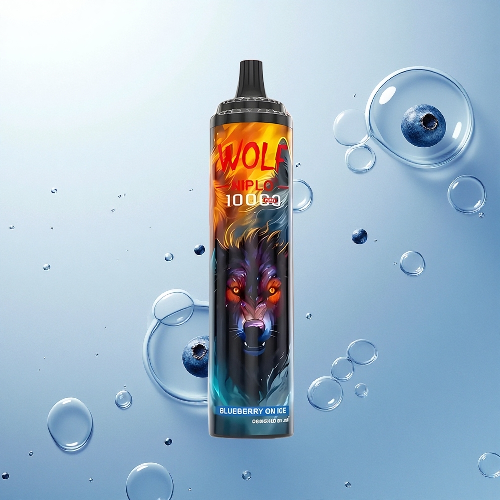 JNR Wolf Niplo 10000 Čučoriedka na ľade 20ml 1.0 Ohm Type-C